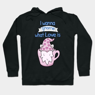 I wanna gnome what love is Hoodie